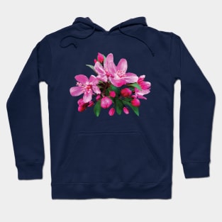 Cherry Blossoms - Two Cherry Blossoms And Buds Hoodie